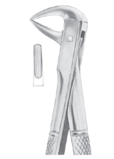 Fig. 137 lower incisors and roots